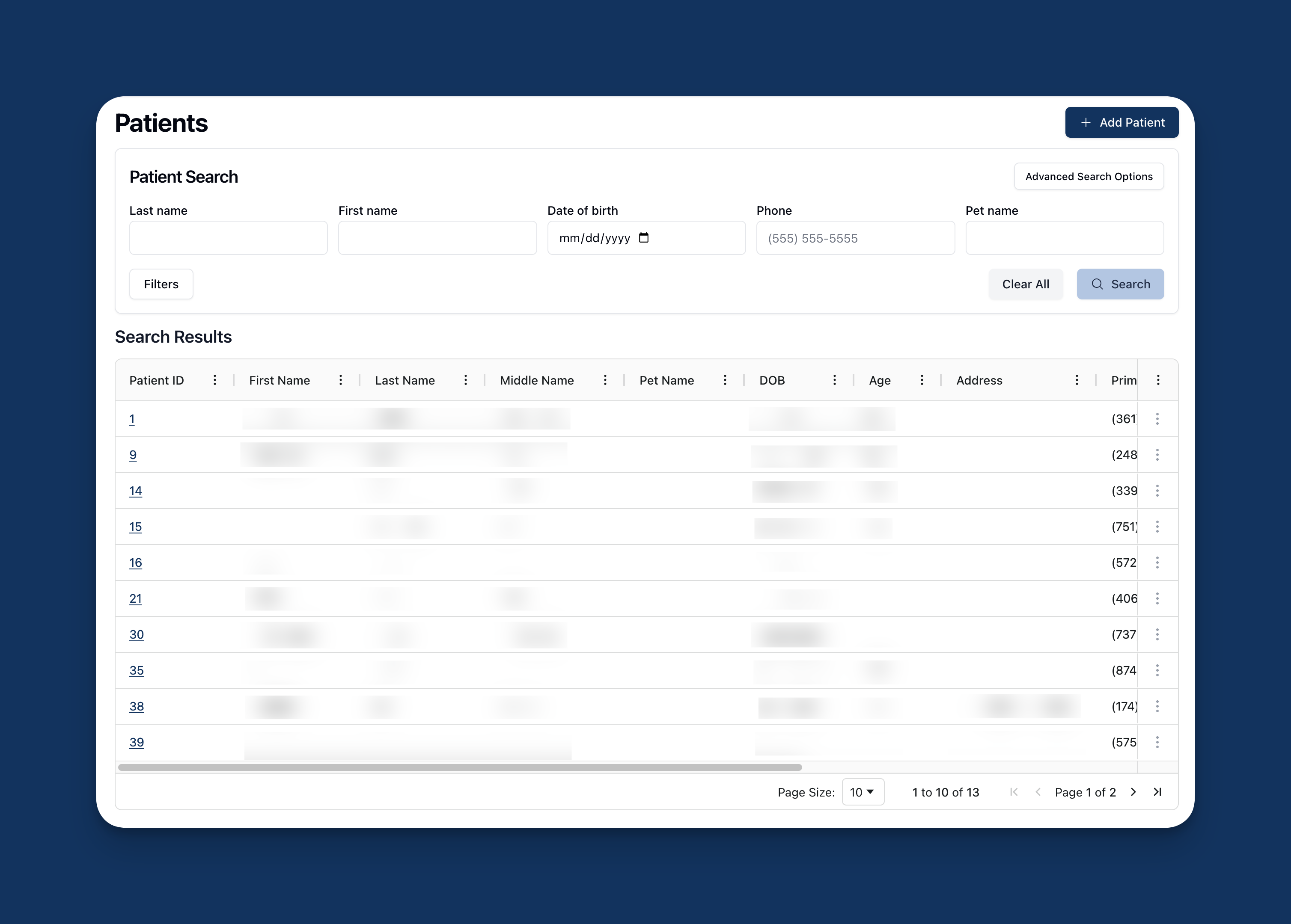 Patients landing page, displaying the Patient Search and Search Results sections.